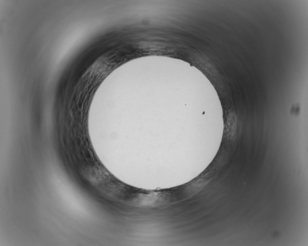 X0000113930430200911061223