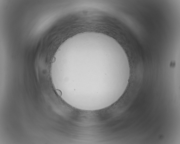 X0000113930431200911061223