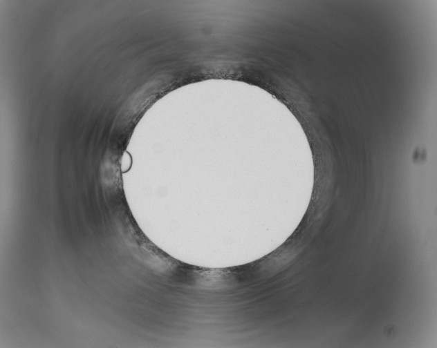 X0000113930432200911061223