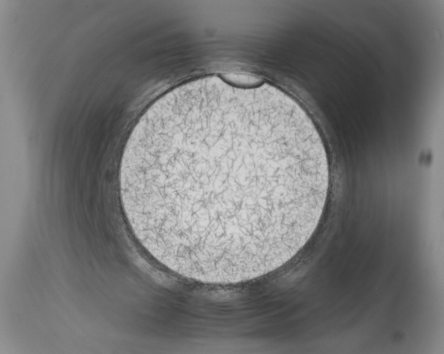 X0000113930433200911061222