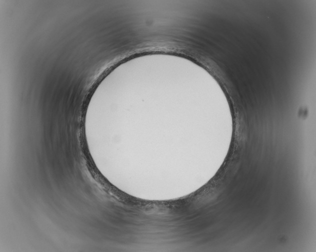 X0000113930434200911061222