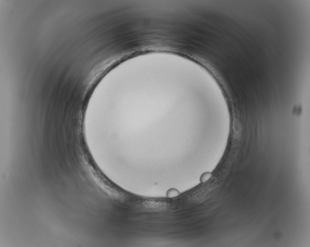X0000113930437200911061222