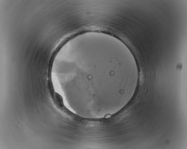 X0000113930438200911061222