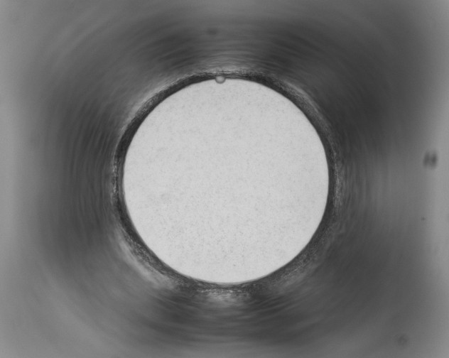 X0000113930439200911061222