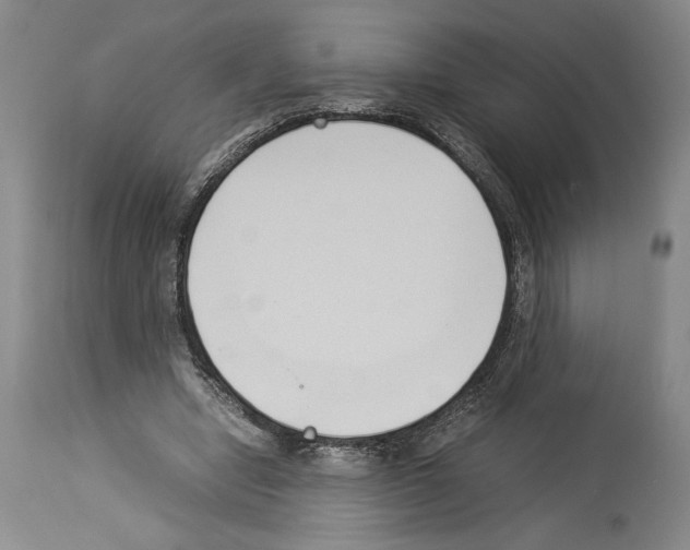 X0000113930442200911061222