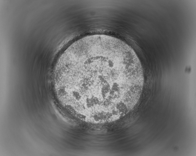 X0000113930443200911061222