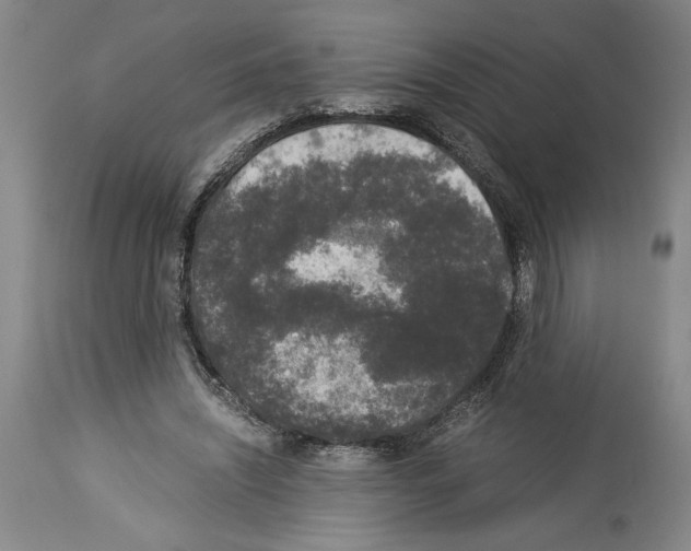 X0000113930444200911061222