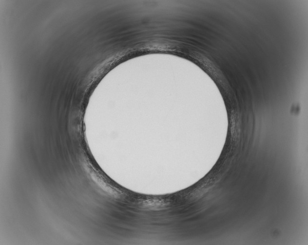 X0000113930445200911061222