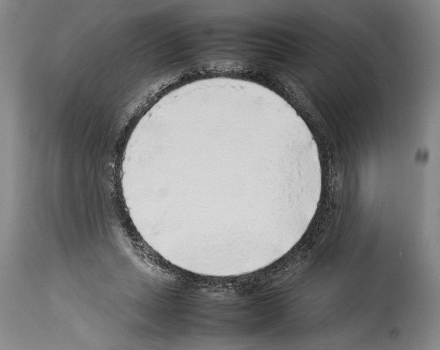 X0000113930447200911061222