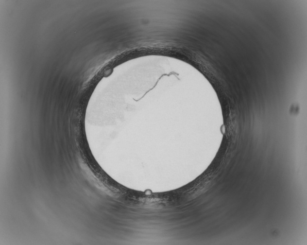 X0000113930448200911061222