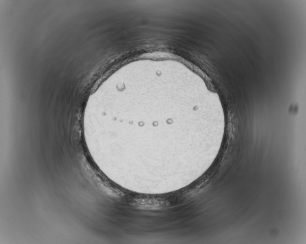 X0000113930449200911061222