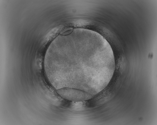 X0000113930452200911061222