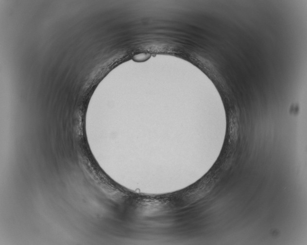 X0000113930453200911061222