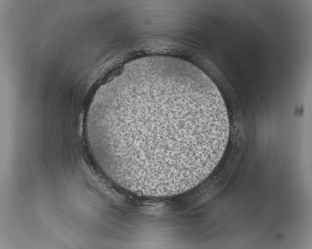 X0000113930454200911061222