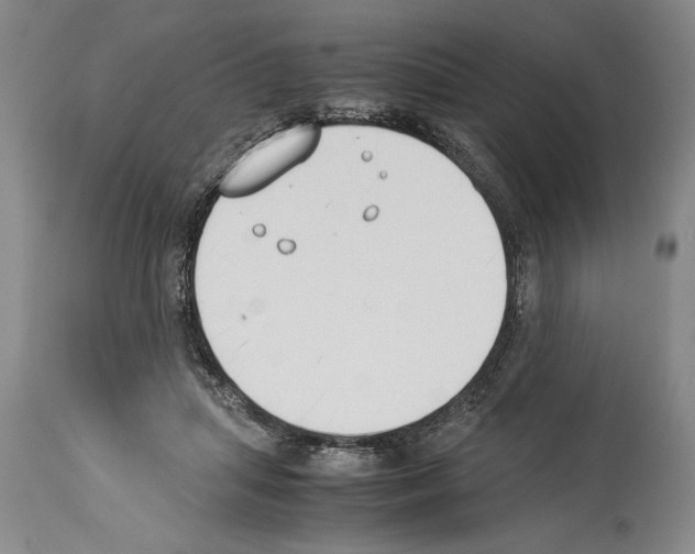 X0000113930455200911061222