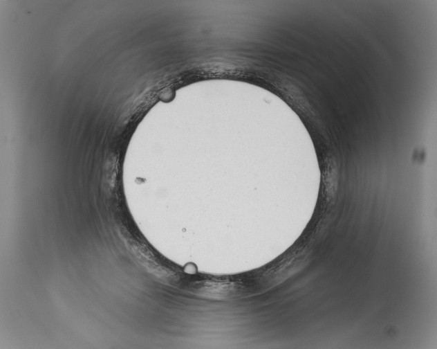 X0000113930458200911061223