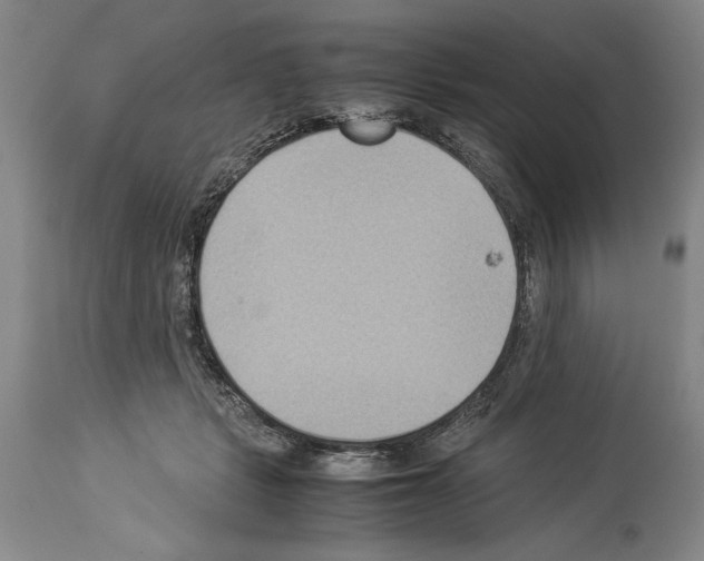 X0000113930461200911061223