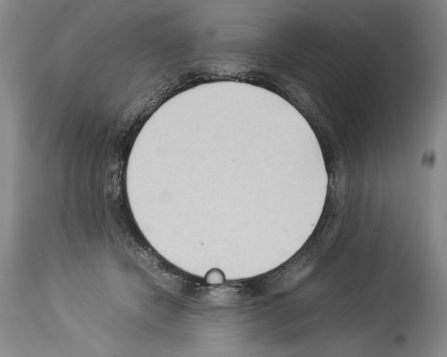 X0000113930462200911061223