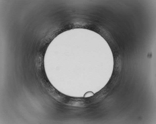 X0000113930463200911061223