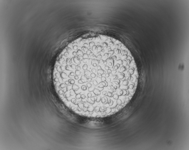 X0000113930466200911061223