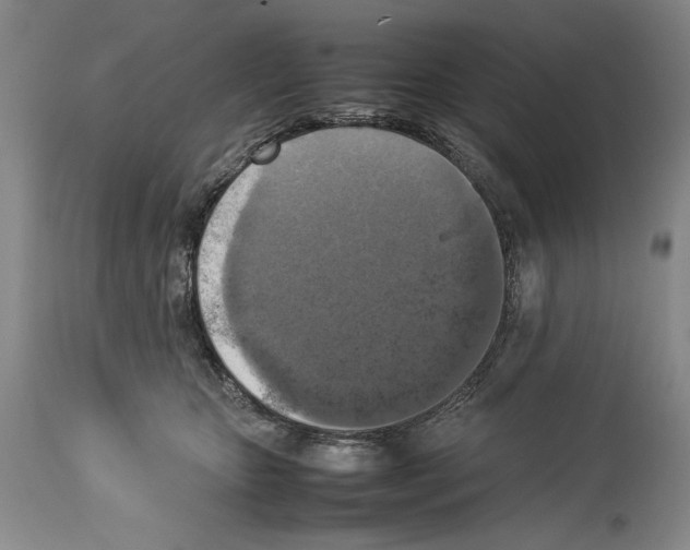 X0000113930467200911061223