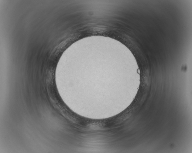 X0000113930468200911061223