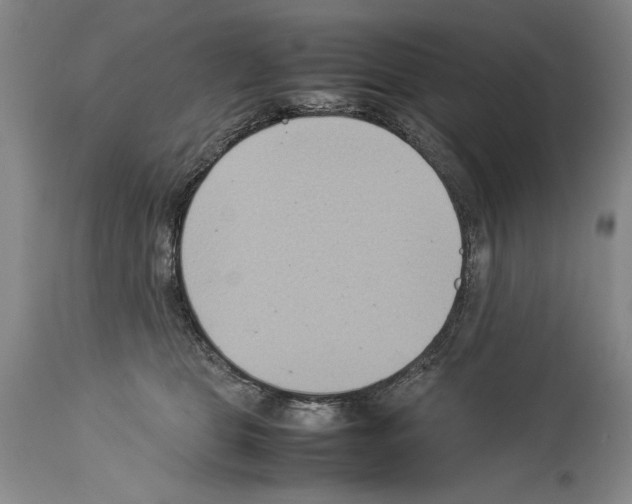 X0000113930469200911061223