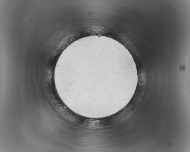 X0000113930472200911061223