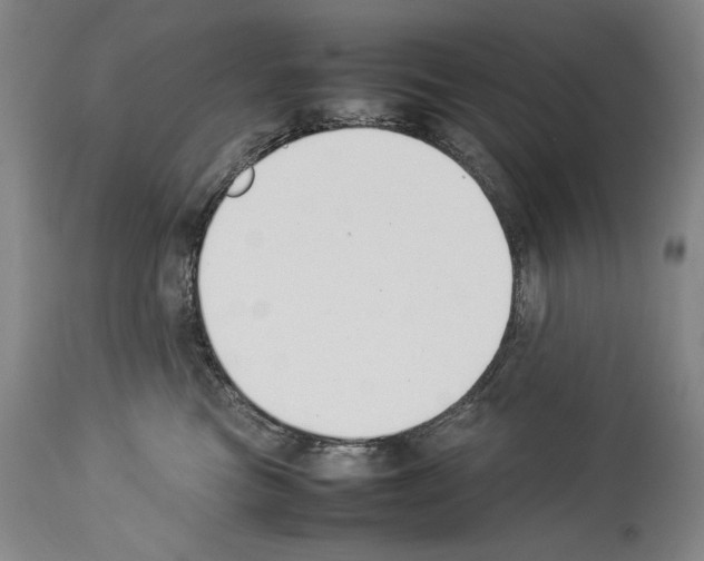 X0000113930473200911061223
