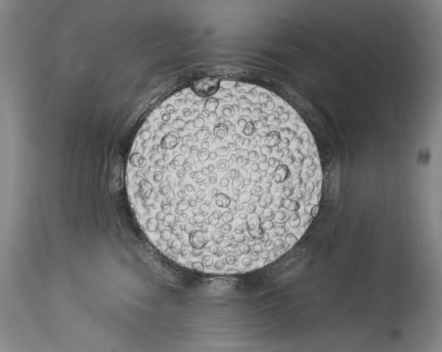 X0000113930474200911061223