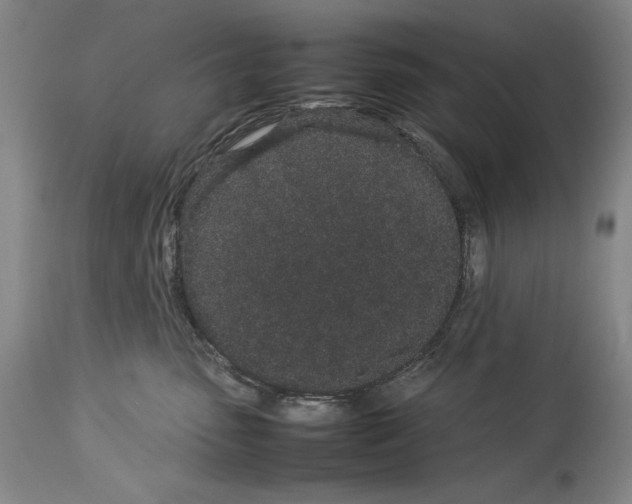 X0000113930475200911061223