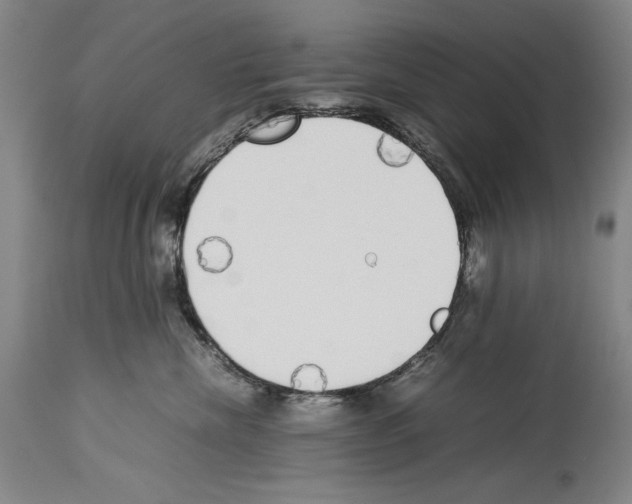 X0000113930476200911061223