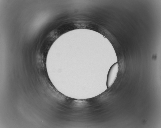 X0000113930477200911061223