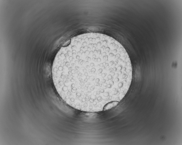 X0000113930478200911061223