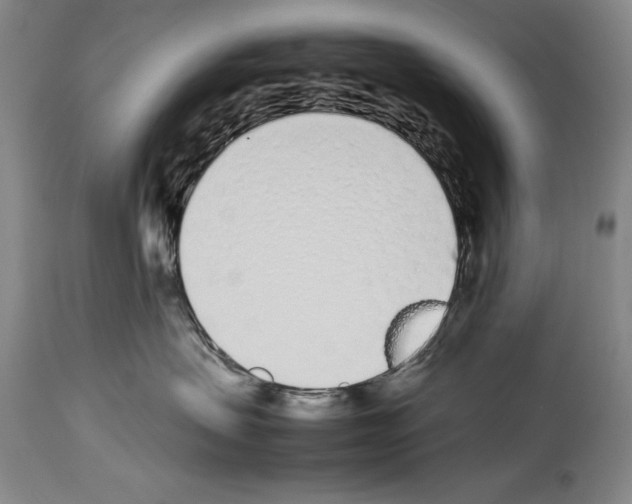 X0000113930479200911061223
