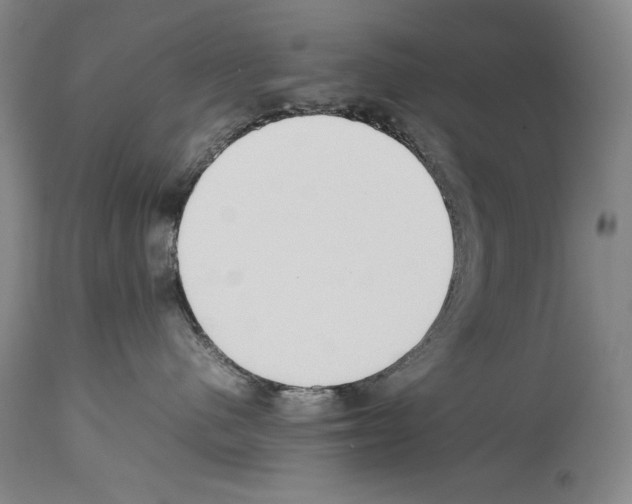 X0000113930480200911061223