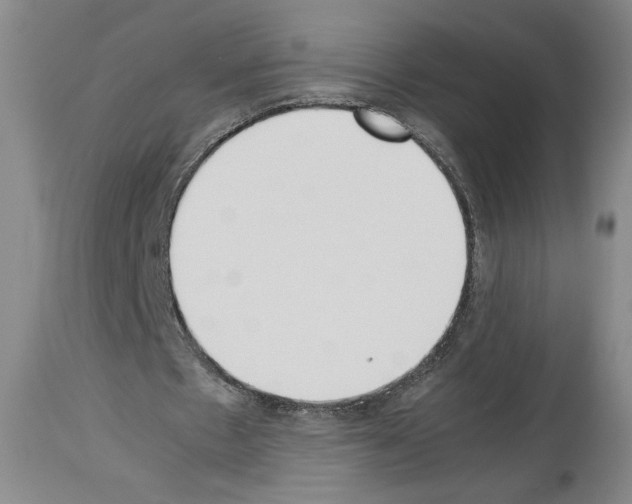 X0000113930481200911061222