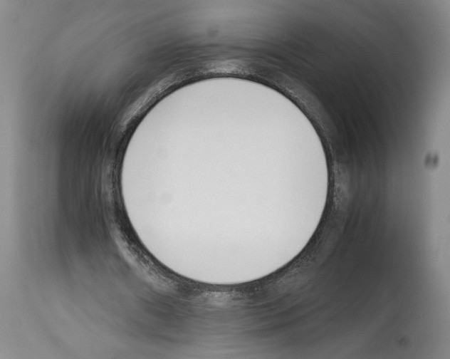 X0000113930482200911061222
