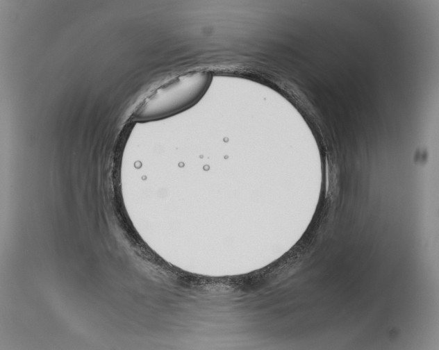 X0000113930483200911061222