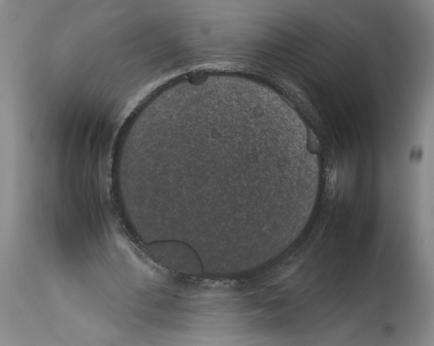 X0000113930484200911061222