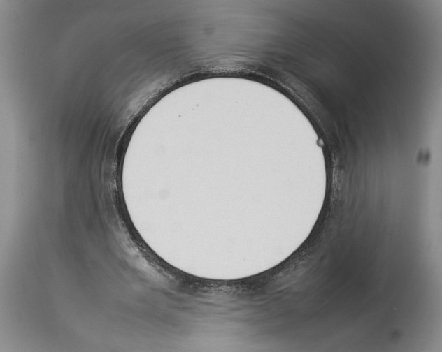X0000113930485200911061222