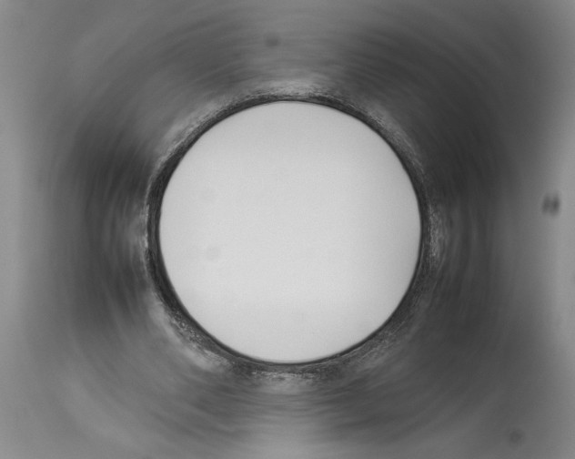 X0000113930486200911061222