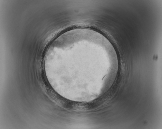 X0000113930487200911061222