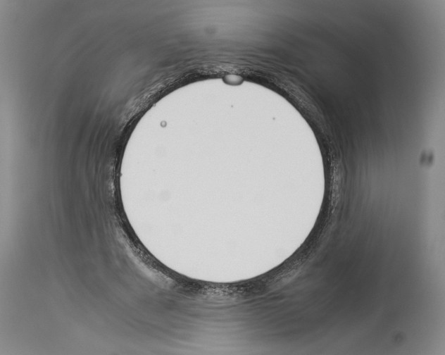 X0000113930489200911061222
