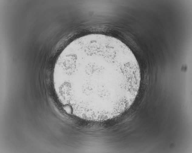 X0000113930491200911061222