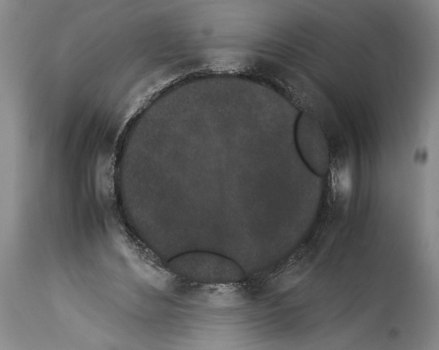 X0000113930492200911061222