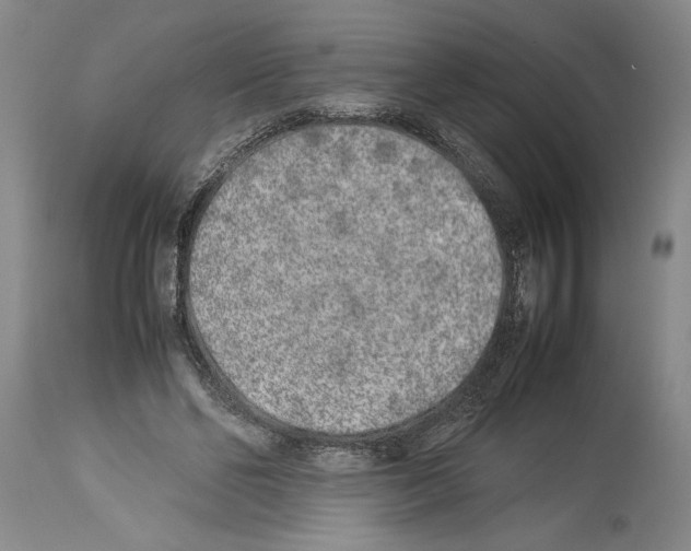 X0000113930494200911061222