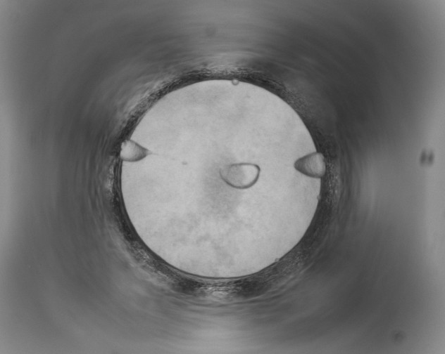 X0000113930495200911061222