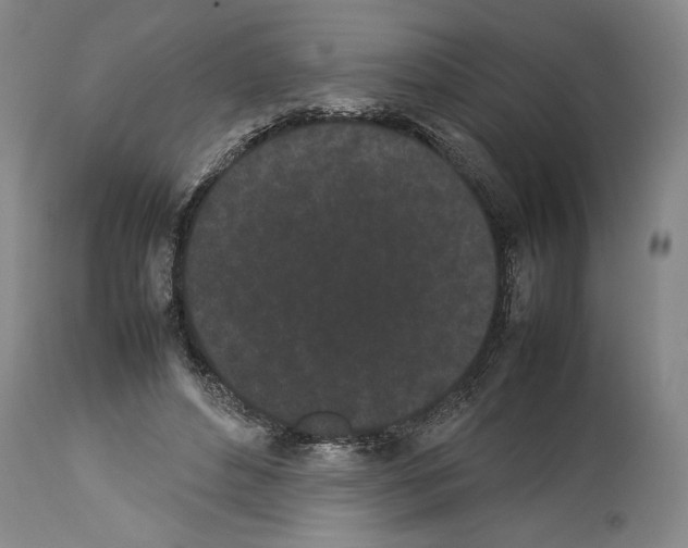 X0000113930496200911061222