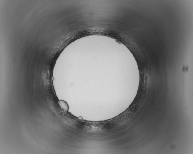 X0000113930498200911061222